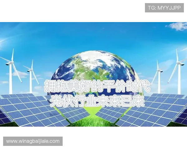 云顶集团有限公司简介：公司在行业中的市场地位与未来发展规划分析